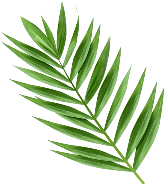 The Wellness Way Podcast – Guest Application Form 4 116dc yofood about 2