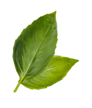 The Wellness Way Podcast – Guest Application Form 3 116dc yofood graphic 2