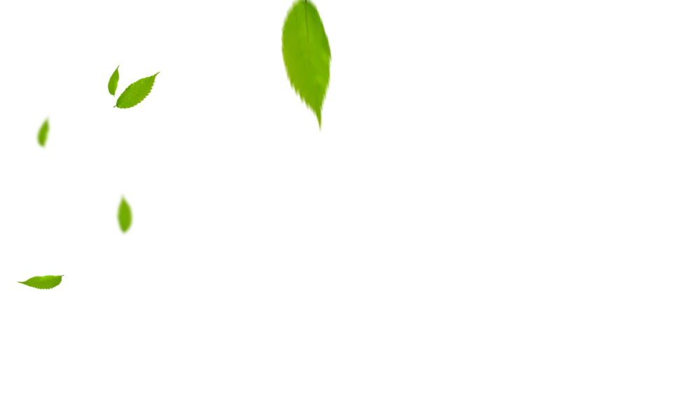 The Wellness Way Podcast – Guest Application Form 2 116dc yofood graphic 3